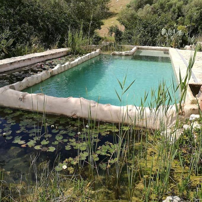 Casa de Férias Son Vell. Mallorca. Casa Amb Piscina Ecologica.