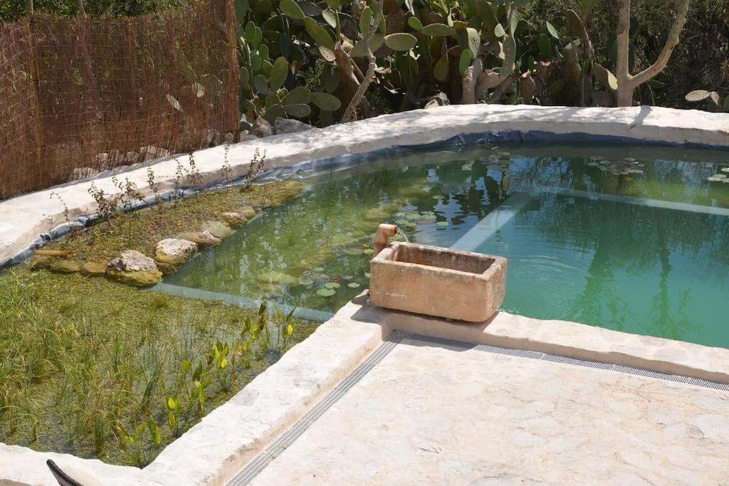 Casa de Férias Son Vell. Mallorca. Casa Amb Piscina Ecologica. *