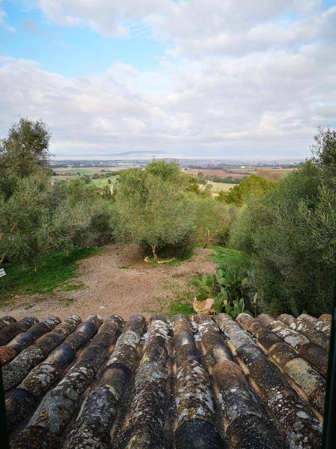 Son Vell. Mallorca. Casa Amb Piscina Ecologica. Casa vacanze