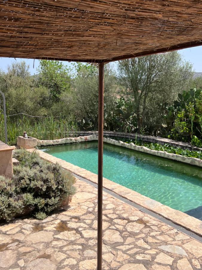 Casa de Férias Son Vell. Mallorca. Casa Amb Piscina Ecologica. Manacor (Mallorca)