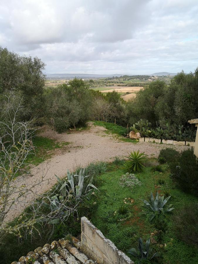 Casa vacanze Son Vell. Mallorca. Casa Amb Piscina Ecologica. Manacor (Mallorca)