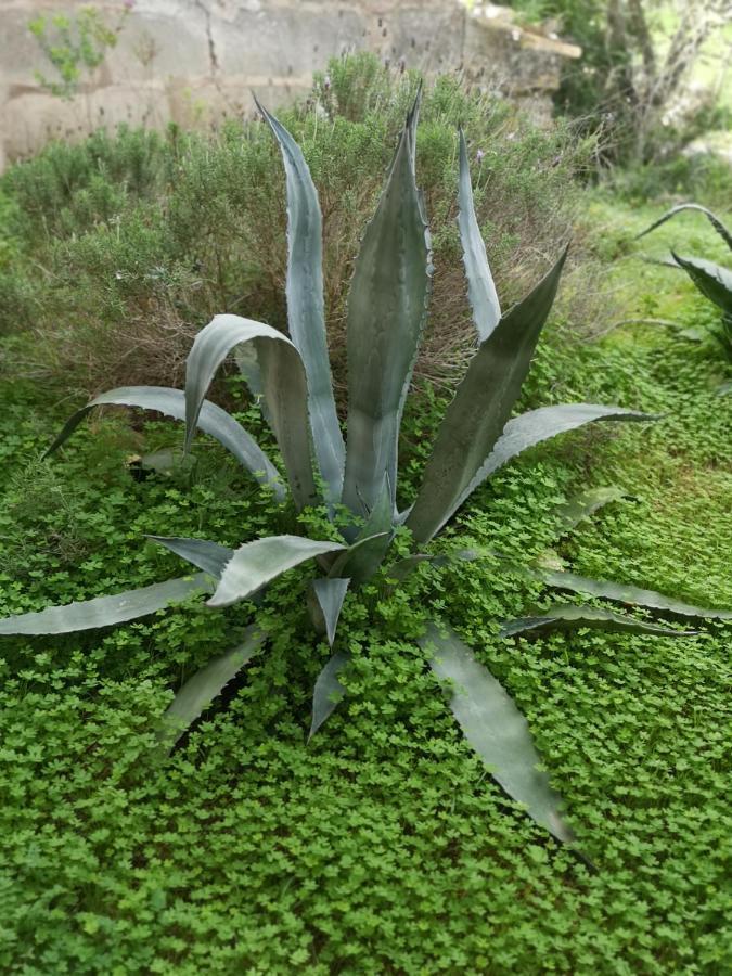 Son Vell. Mallorca. Casa Amb Piscina Ecologica. Casa de Férias